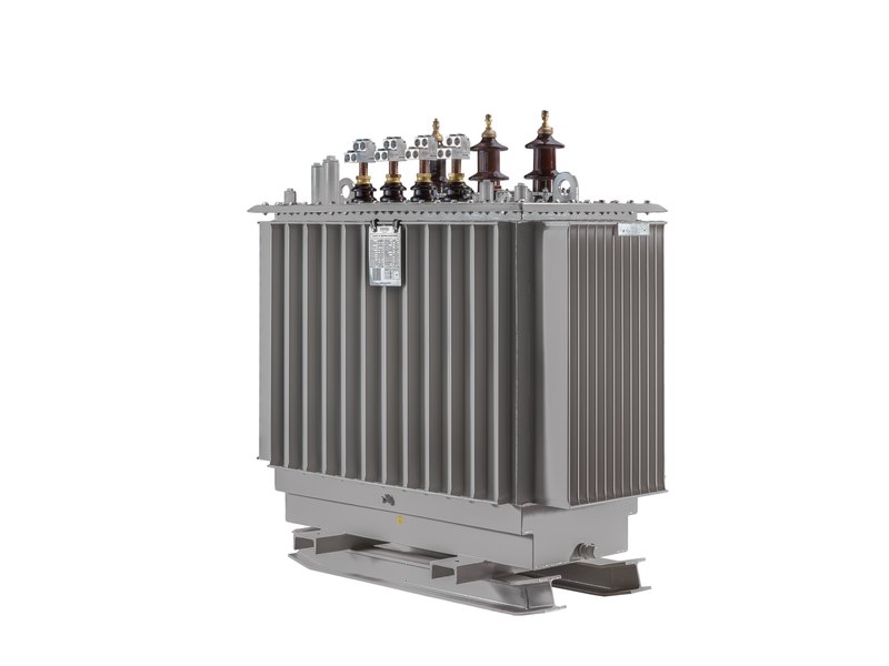 Elsewedy Electric oil distribution transformer up to 36 kV